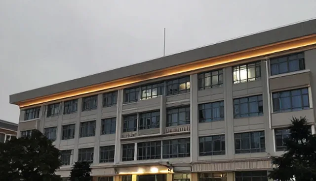 地区差异如何影响患者沟通效果